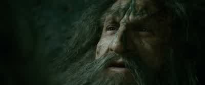 Thorin. - The Hobbit: The Desolation of Smaug