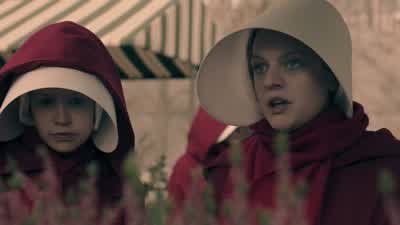 Those are beautiful lilies. - The Handmaid's Tale