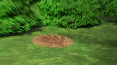 Those are Chief Zephyr's prints. - Elena of Avalor
