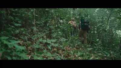 Those are just wild cows. - Virgin Forest