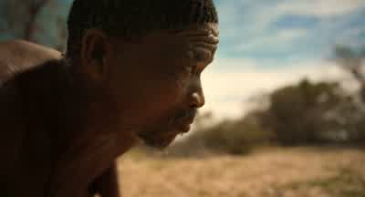 Those are kudus. - Pole to Pole with Will Smith