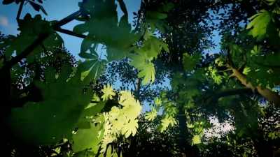 Those are my leaves. - The World According to Jeff Goldblum
