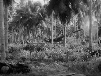 Those are our shore batteries. - Guadalcanal Diary