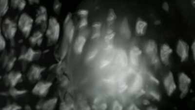 Those correlations,
and blending those - Superhuman: The Invisible Made Visible