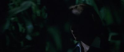 Those could be giant Jiffy Pop poppers - The X Files