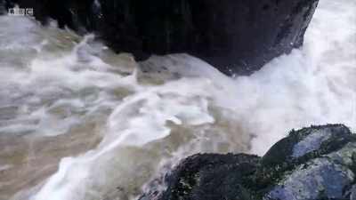 Those that do succeed - Wales: Land of the Wild
