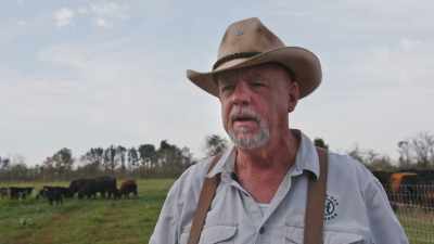 Those hogs in that swamp over
there that's rooting and wallowing, - Food and Country