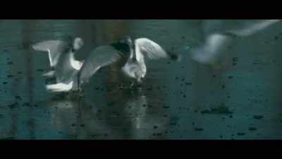 Those kinds of behaviours - Steinheist