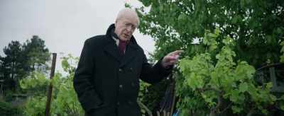 Those lemon trees
are not gonna survive the winter. - King of Thieves
