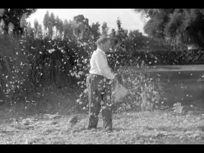 Those were my mother's feathers - It's a Gift