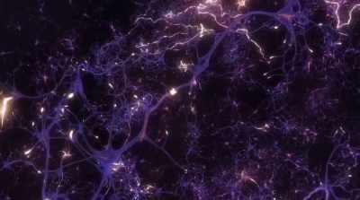 Those neural structures
are not found in our ancestors. - Fantastic Fungi