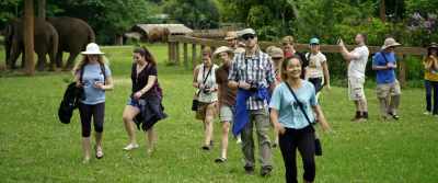 Those people are leading
the way in helping us shift - The Last Tourist