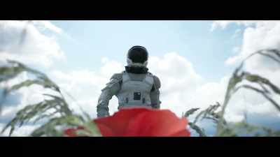 Those pretty little flowers, - Andromeda