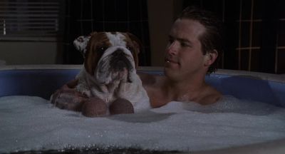 Those things could raise the Titanic - National Lampoon's Van Wilder