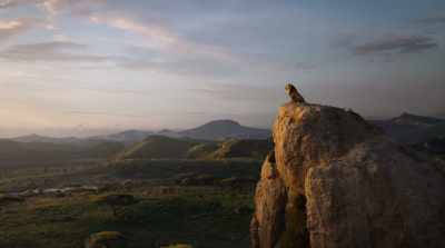 Those trees?
And the watering hole? - The Lion King