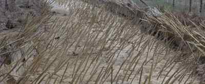 Those what they call Punji sticks? - The Green Berets