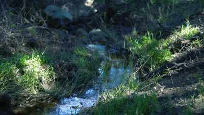 Though he came to have
an amicable relationship - 35 Serial Killers the World Wants to Forget