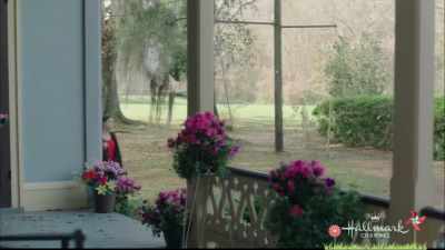 Though I was thinkingon the ride down here, - Home by Spring