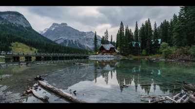 Though we love to think about the log cabin - The History of Home Narrated by Nick Offerman