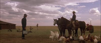 Thought you might want your old horse back - All the Pretty Horses
