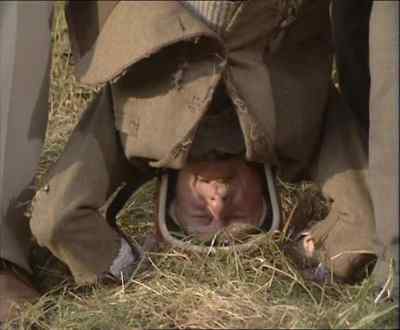 Thou's got a fiercer grip
than Nora Batty! - Last of the Summer Wine