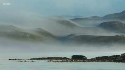 Thousands of common and grey seals
live here. - Wild Isles