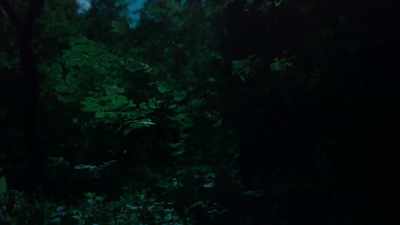 Thousands of tiny fireflies
dancing in the darkness. - Tiny World