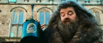 Three attacks on Muggle-borns.Things have gone far enough. - Harry Potter and the Chamber of Secrets