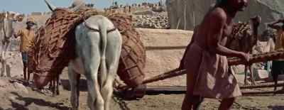 Three million
of such stones would be needed - Land of the Pharaohs