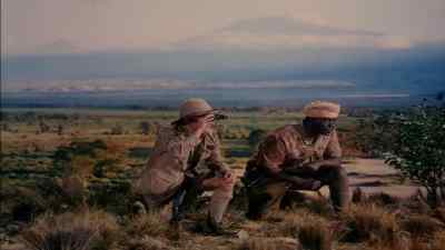 Three of 'em.
A bull and two cows. - The Snows of Kilimanjaro