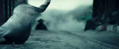 Three things were gone. - The Pirates: The Last Royal Treasure