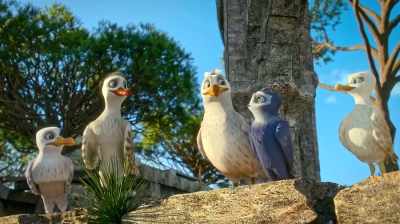 Three, two, one... go! - Manou the Swift