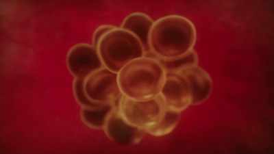 Through all its incarnations, - Cosmos: Possible Worlds