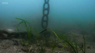 ..through dredging, pollution, - Wild Isles