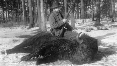 Through his friendship
with Grinnell, - The American Buffalo