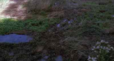 Through here I think. - Without Warning