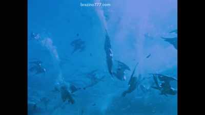 ...through
his underwater films, - Becoming Cousteau