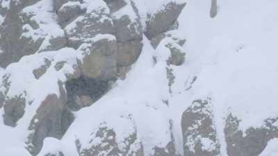 Through the blizzard, - Epic Yellowstone