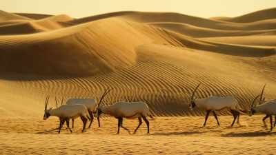 Through the movements of wind, - Our Great National Parks