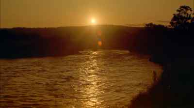 Through the year and the course - Africa: The Serengeti