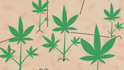 Through time, - Wake & Bake with Dom Brown