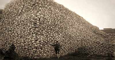 Throughout history, there have been people - Stars in the Sky: A Hunting Story
