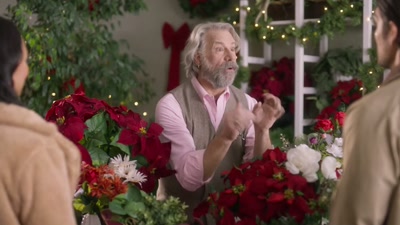 Throw in some holly
and maybe some cranberries, - Yuletide the Knot