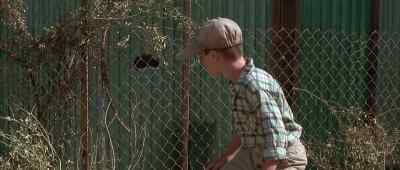 - Throw the ball back! Come on!
- Yeah, hurry up! - The Sandlot