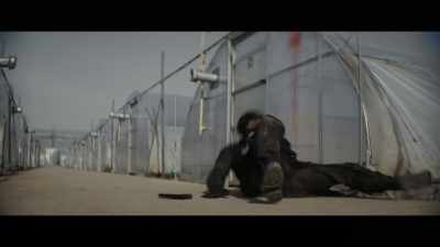 (Thud) - Trigger Point