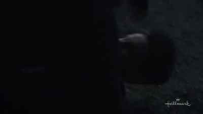 [thud] - When Calls the Heart