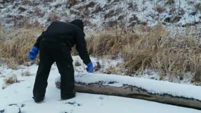 (thudding) - Life Below Zero: First Alaskans