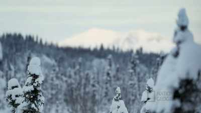(thudding) - Life Below Zero: First Alaskans
