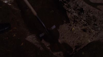 (THUMPING) - House