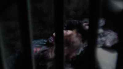 [thumping] - Bates Motel